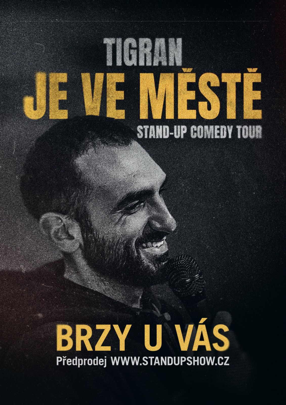 TIGRAN stand-up comedy
